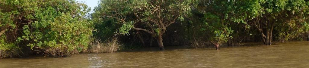 Luxury hotels in Siem Reap