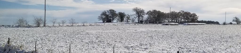 Luxury hotels in Bastrop County