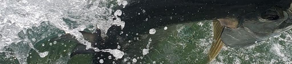 Luxury hotels in Belize