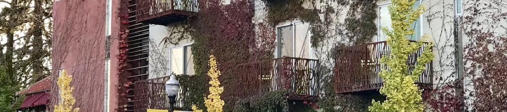 Luxury hotels in Healdsburg