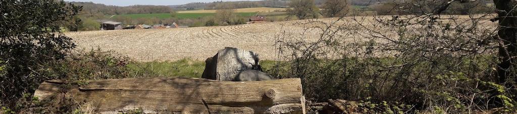 Luxury hotels in Stockcross