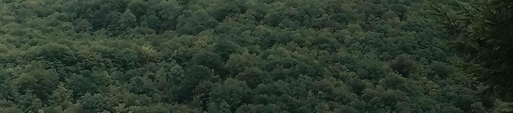 Luxury hotels in Tjentiste