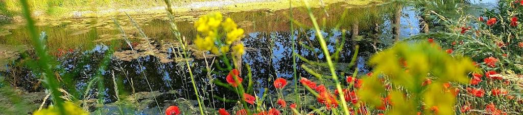 Luxury hotels in Lochau