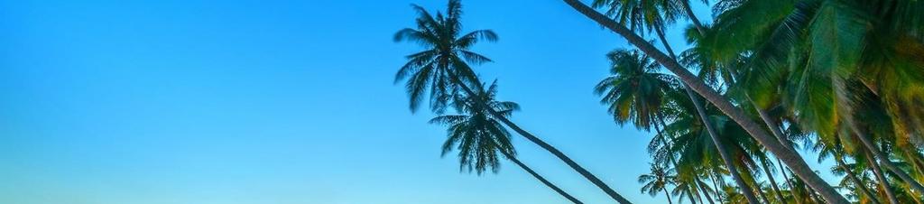 Luxury hotels in Phan Thiet