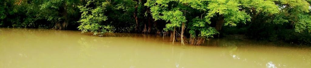 Luxury hotels in Sylhet