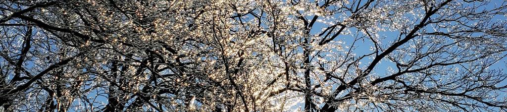 Luxury hotels in Milford