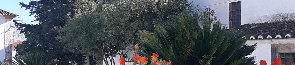 Luxury hotels in Vila Vicosa