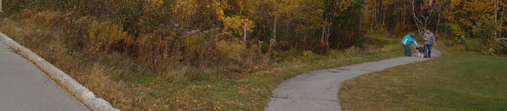 Luxury hotels in Newfoundland and Labrador