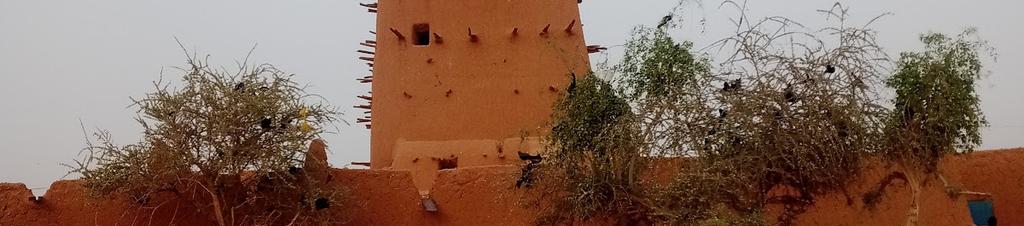 Luxury hotels in Niger