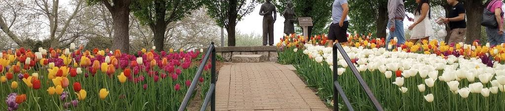 Luxury hotels in West Brattleboro