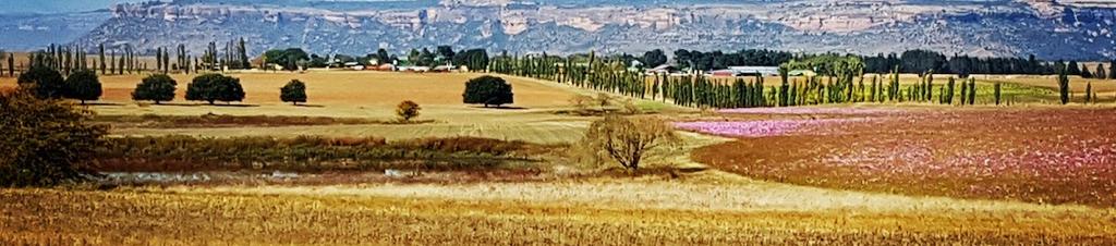 Luxury hotels in Fouriesburg