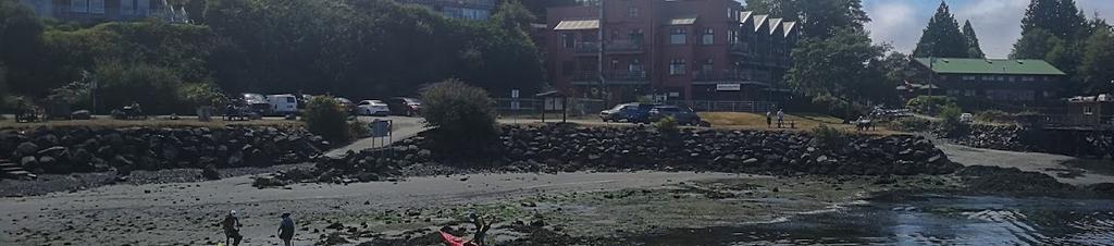 Luxury hotels in Tofino