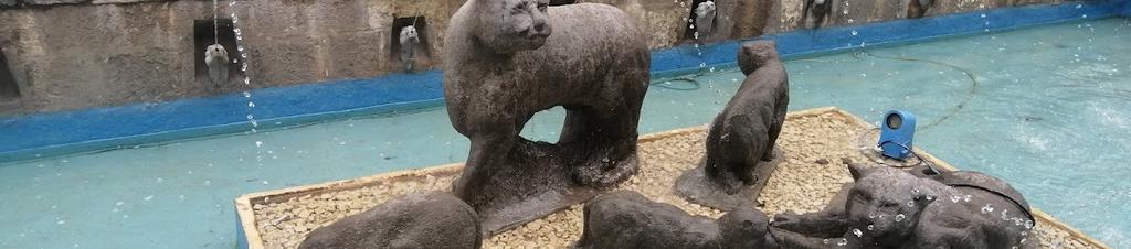 Luxury hotels in Cusco