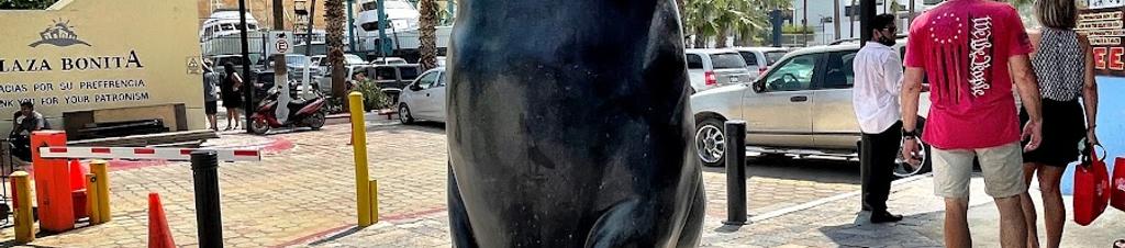 Luxury hotels in Los Cabos