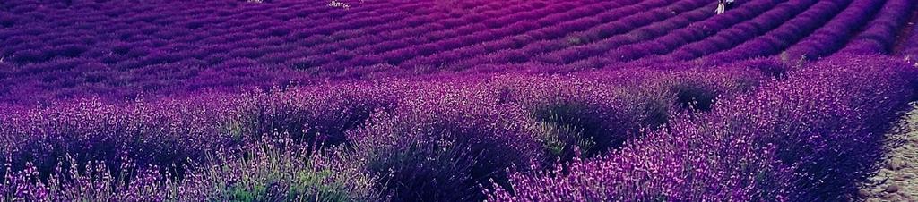 Luxury hotels in Alpes-de-Haute-Provence