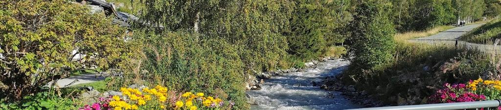 Luxury hotels in Courchevel