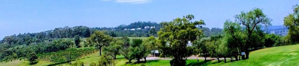 Luxury hotels in Pokolbin