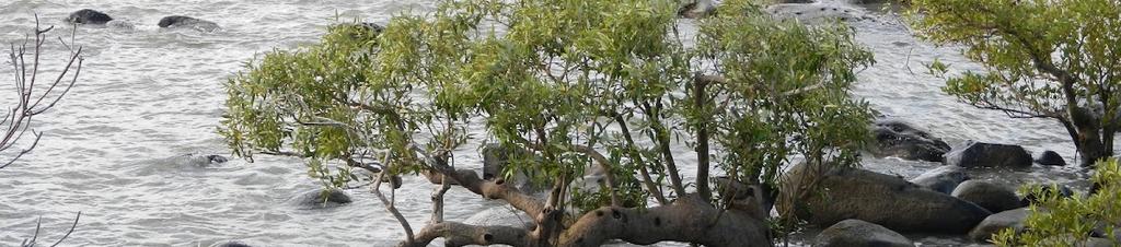 Luxury hotels in Mission Beach