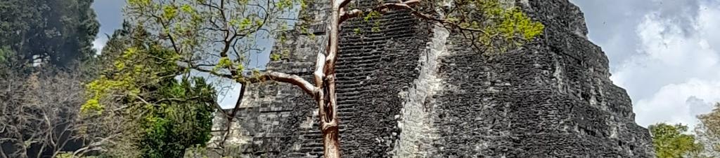 Luxury hotels in Peten