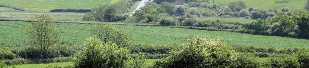 Luxury hotels in Kent