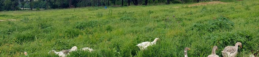 Luxury hotels in Muldersdrift