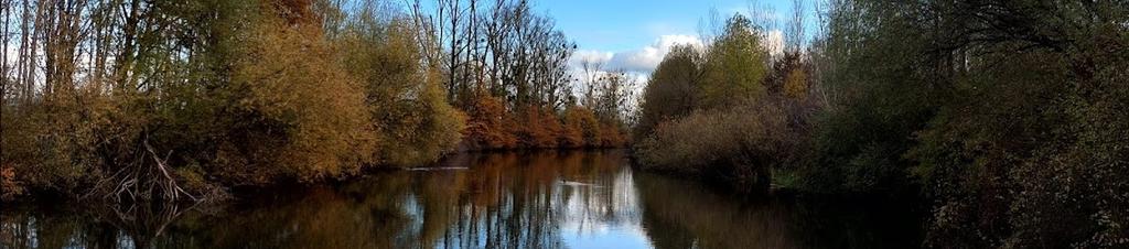 Luxury hotels in Schwanau