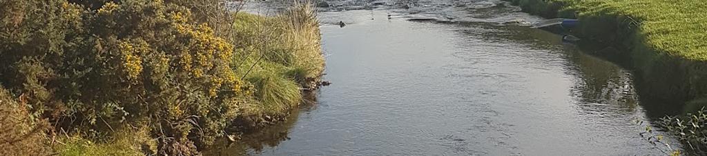 Luxury hotels in County Louth