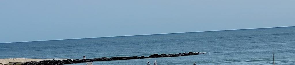 Luxury hotels in Beach Haven