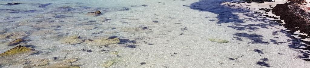 Luxury hotels in Maroma