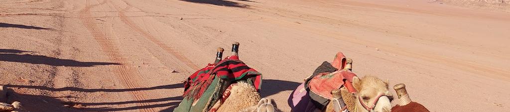 Luxury hotels in Wadi Rum