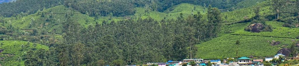 Luxury hotels in Munnar