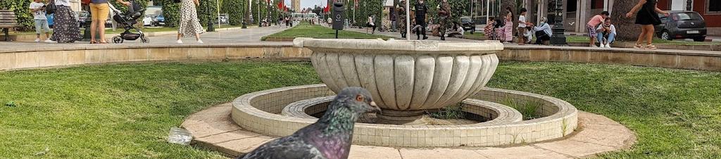 Luxury hotels in Rabat