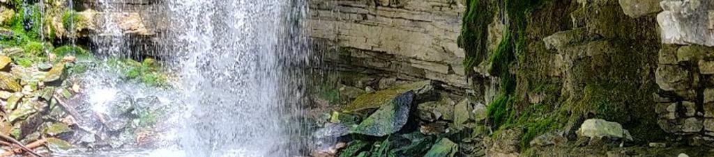 Luxury hotels in Milton