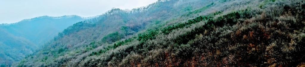 Luxury hotels in Hongcheon