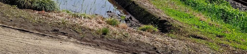 Luxury hotels in Haga District