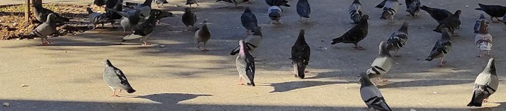 Luxury hotels in Hydra