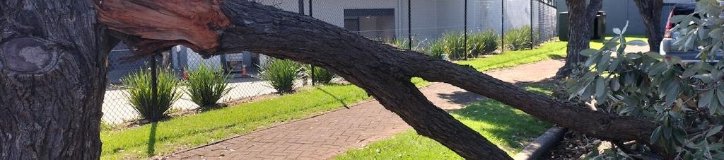 Luxury hotels in Penrose