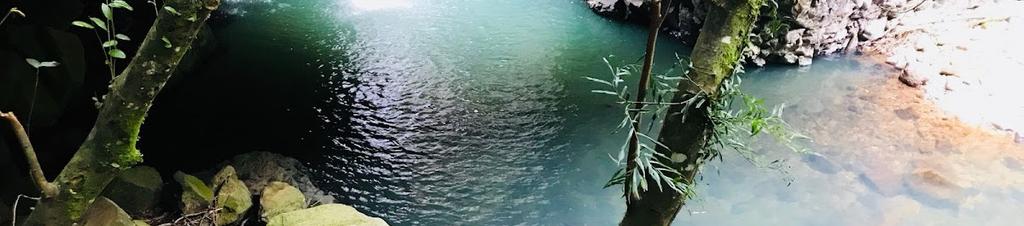 Luxury hotels in Springwood