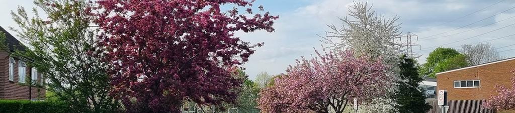 Luxury hotels in Watford