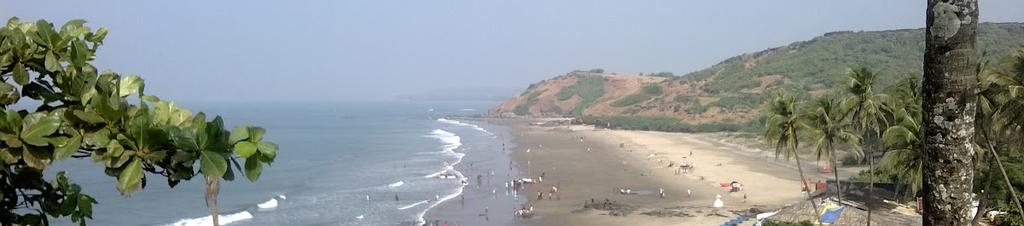 Luxury hotels in Anjuna