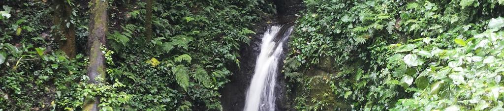 Luxury hotels in Puntarenas Province