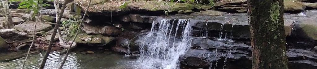 Luxury hotels in Guaviare