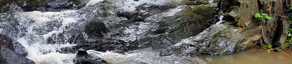 Luxury hotels in Thane West