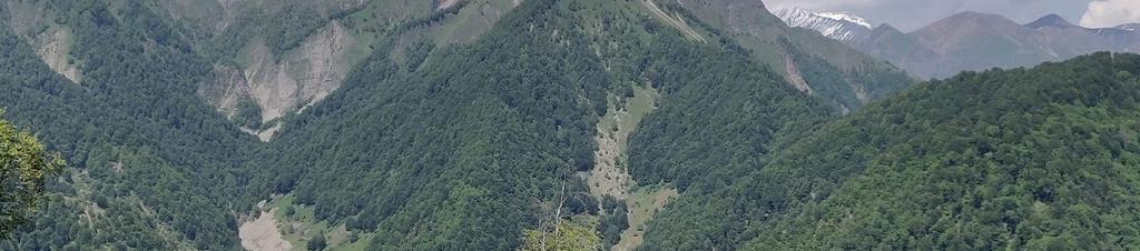 Luxury hotels in Azerbaijan