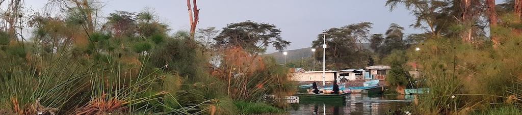 Luxury hotels in Naivasha