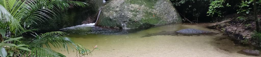 Luxury hotels in Mossman