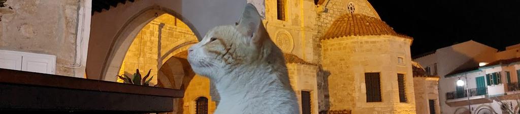 Luxury hotels in Larnaca