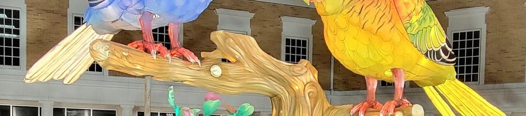 Luxury hotels in Cary