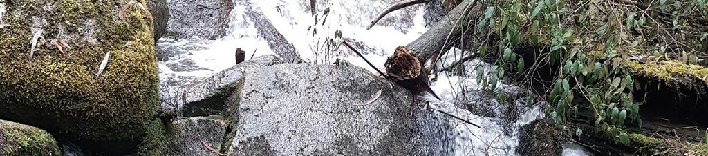 Luxury hotels in Yarra Ranges Shire