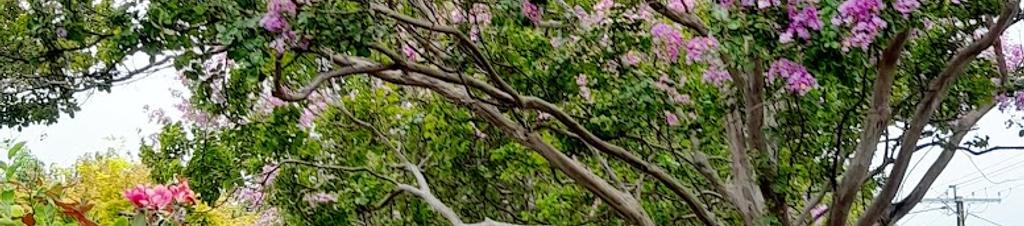 Luxury hotels in Prospect